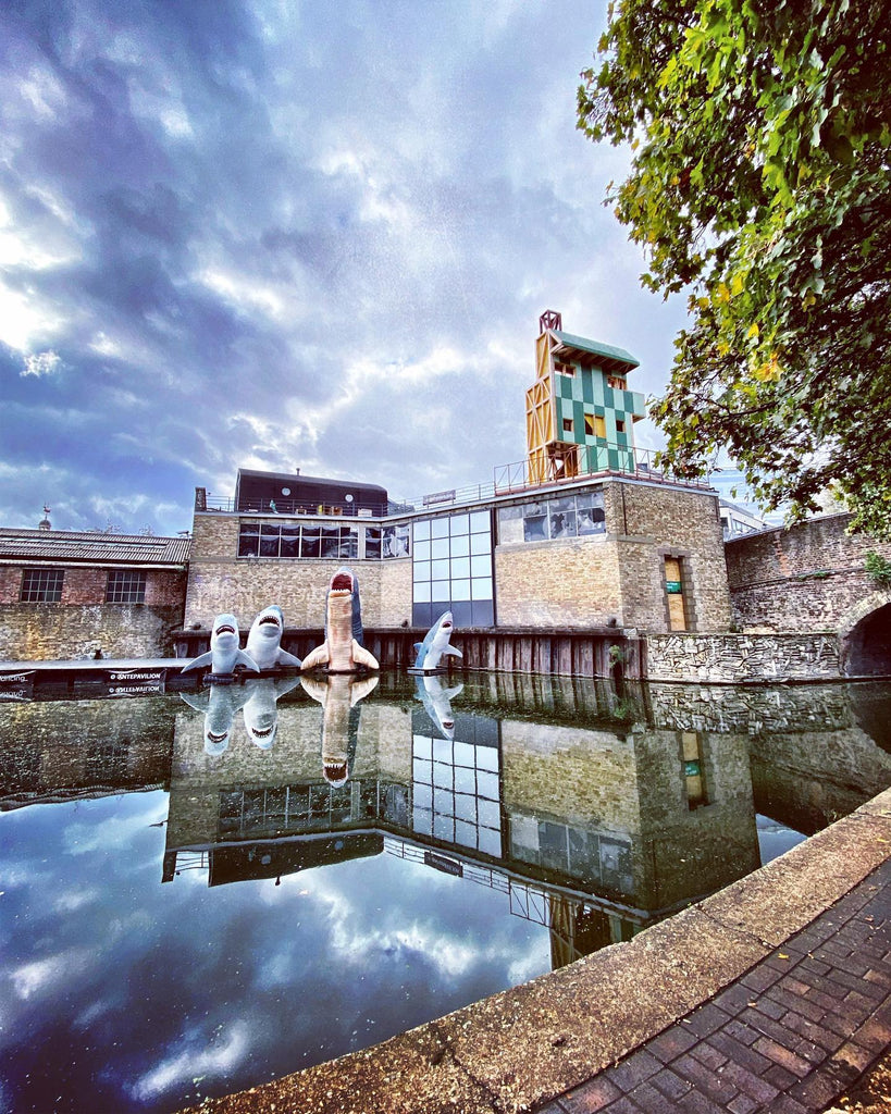 Hackney Sharks under cloudy sky