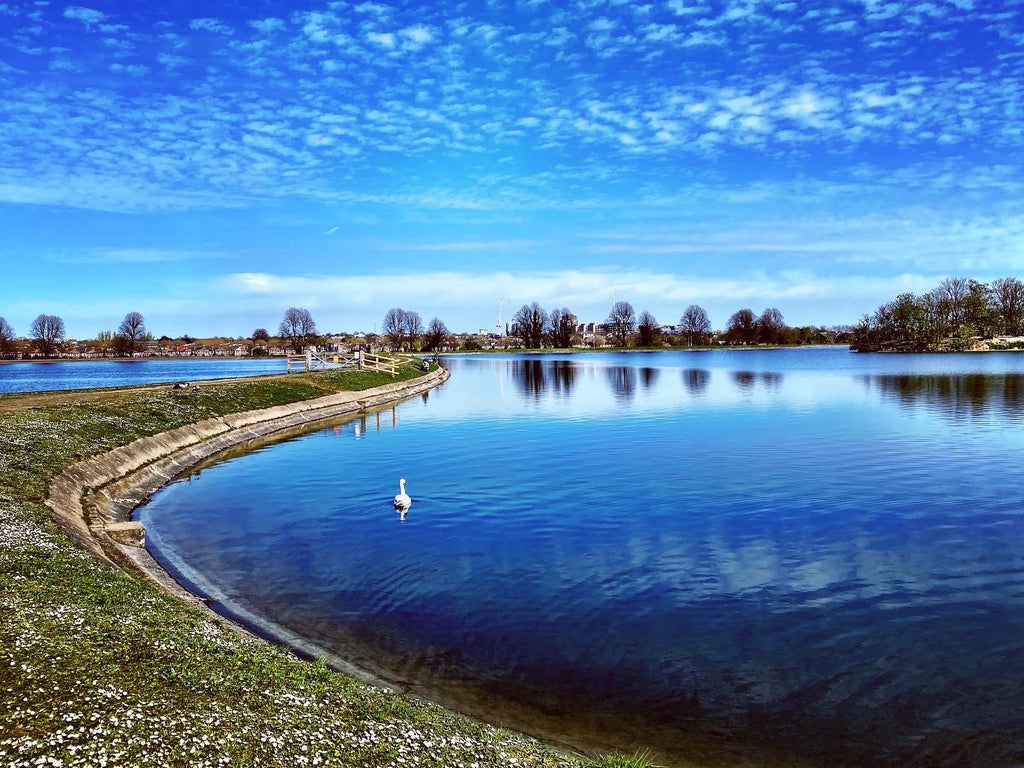 Walthamstow Wetlands under clear blue sky